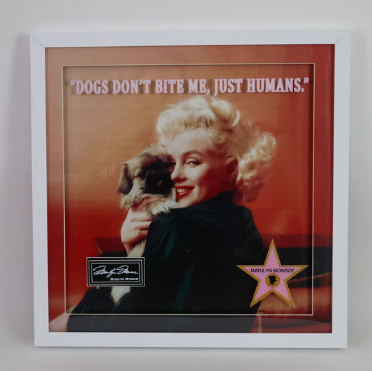 Marilyn Monroe Laser Engraved Signature "Dons don't bit me, just humans." Frame
