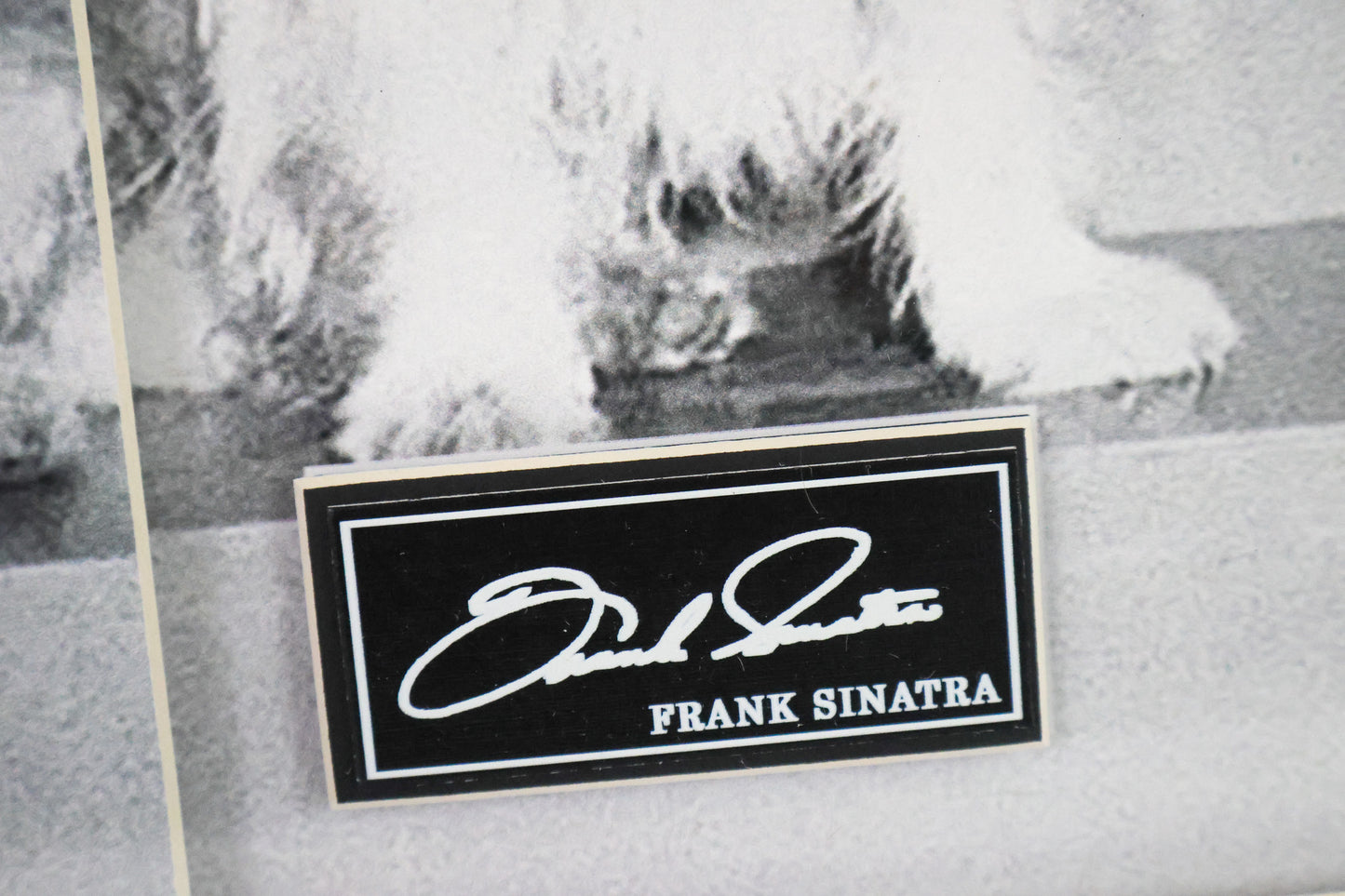 Frank Sinatra Commemorative Platinum Album